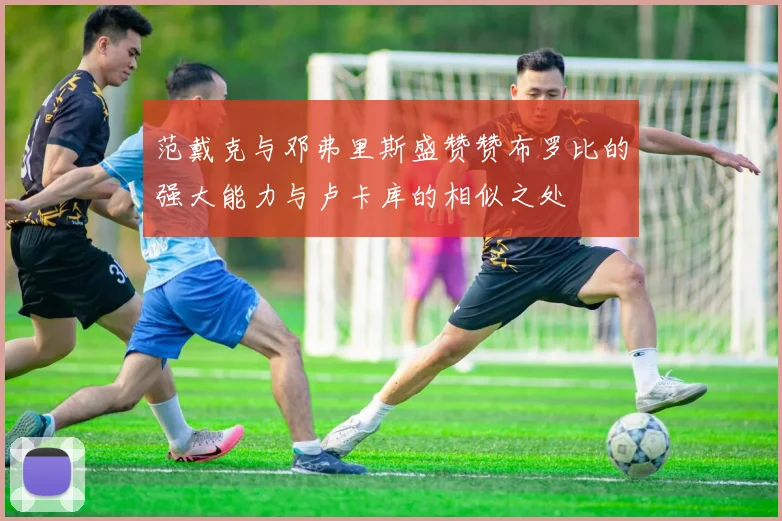 范戴克与邓弗里斯盛赞赞布罗比的强大能力与卢卡库的相似之处